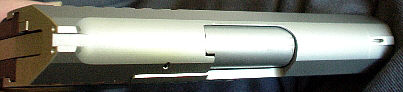 Trijicon sight inserts on the R9s slide